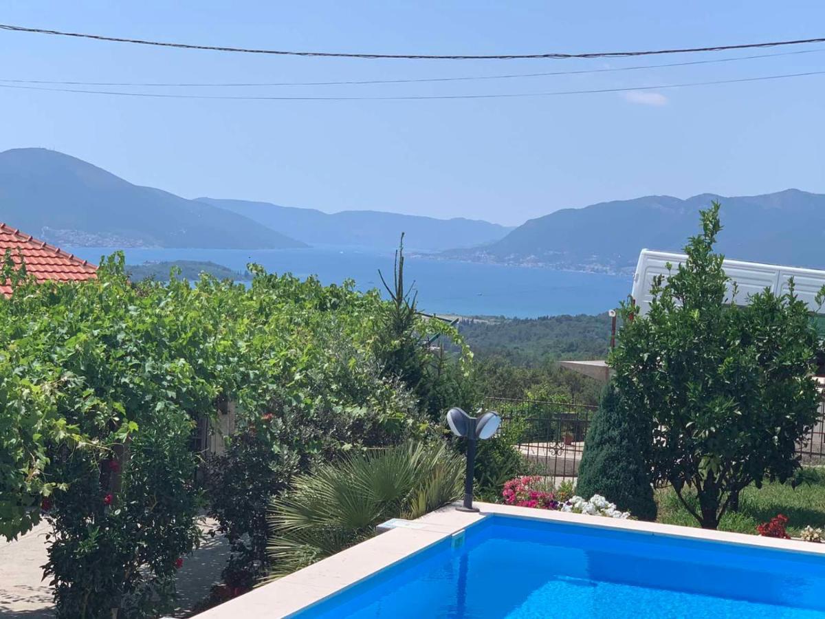 Ostojic Lux Apartman Leilighet Kotor Eksteriør bilde
